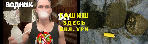 PSILOCYBIN Бородино