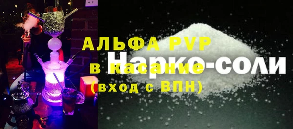 PSILOCYBIN Бородино