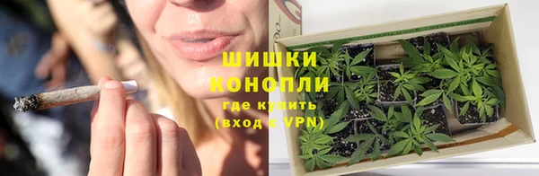 PSILOCYBIN Бородино