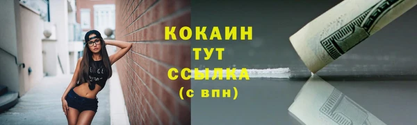 PSILOCYBIN Бородино