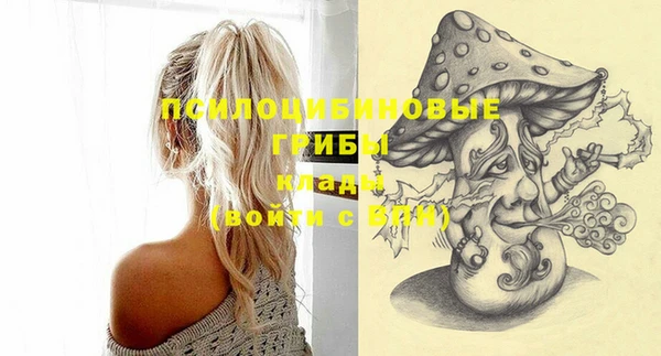 PSILOCYBIN Бородино