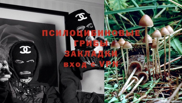 2c-b Бронницы