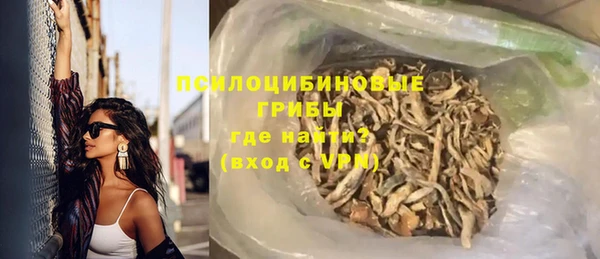 PSILOCYBIN Бородино