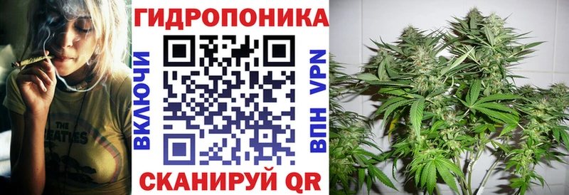 Каннабис конопля  Горячеводский 